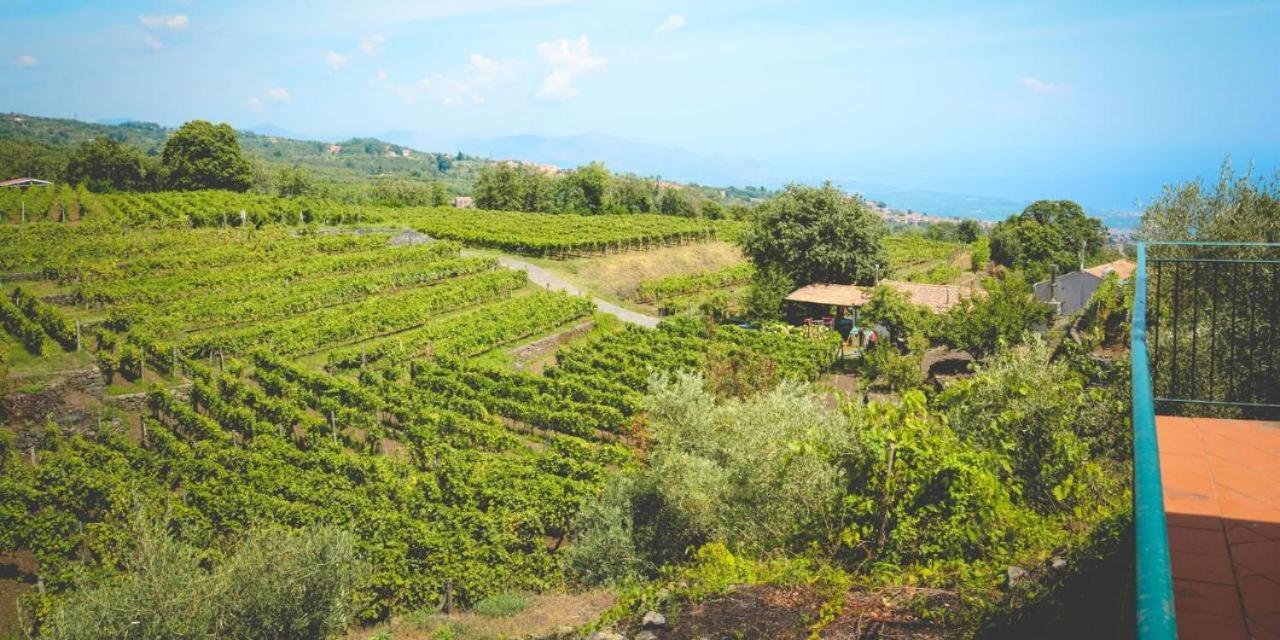 Agriturismo Le Case Del Merlo Milo Exteriér fotografie