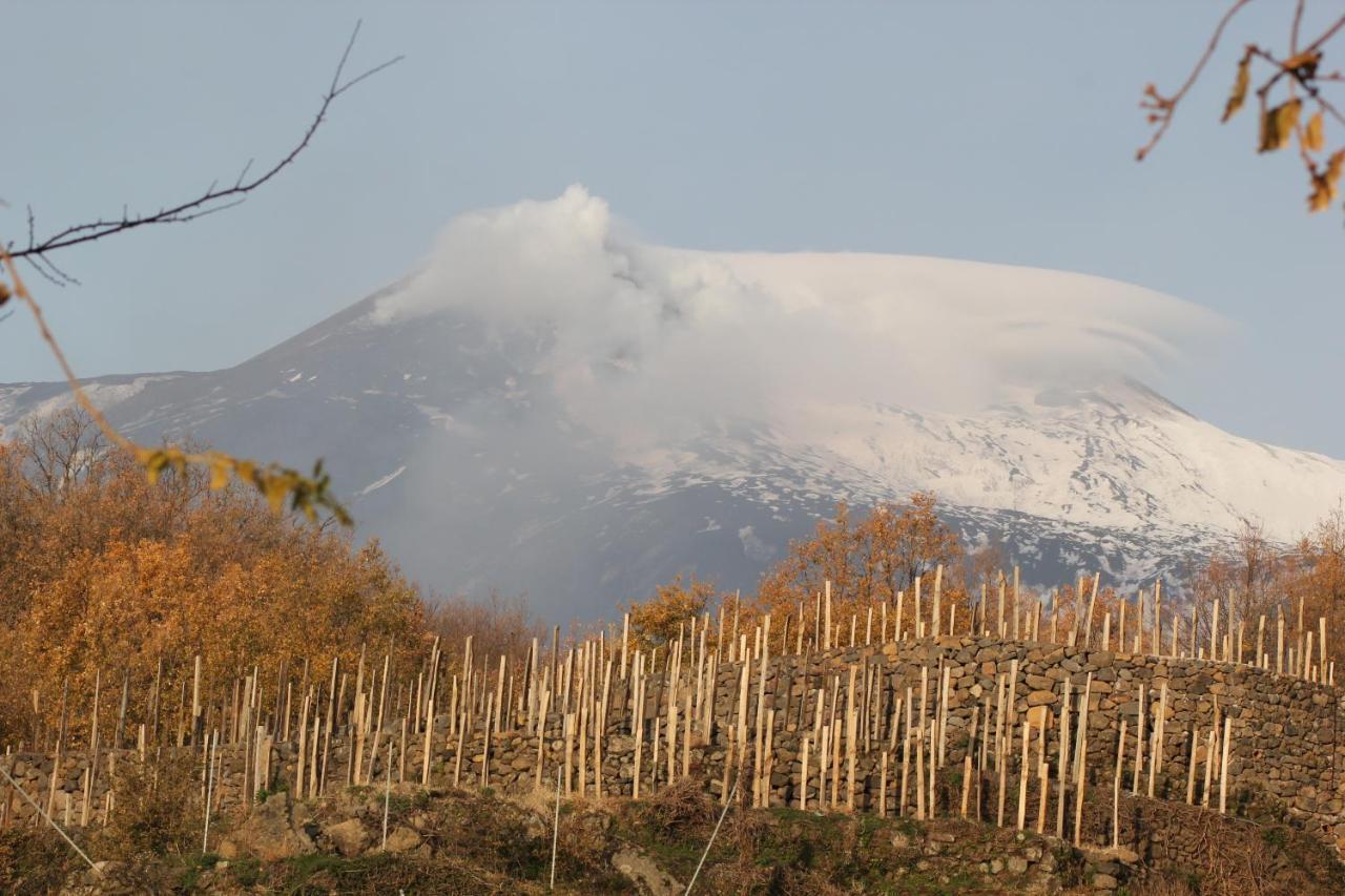 Agriturismo Le Case Del Merlo Milo Exteriér fotografie