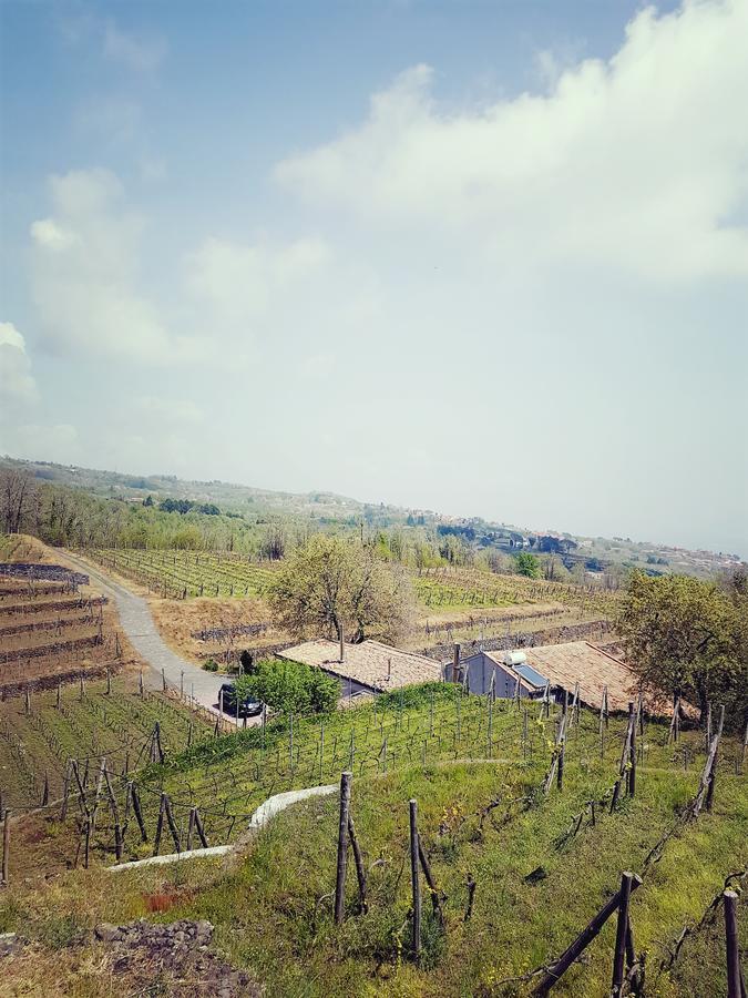 Agriturismo Le Case Del Merlo Milo Exteriér fotografie